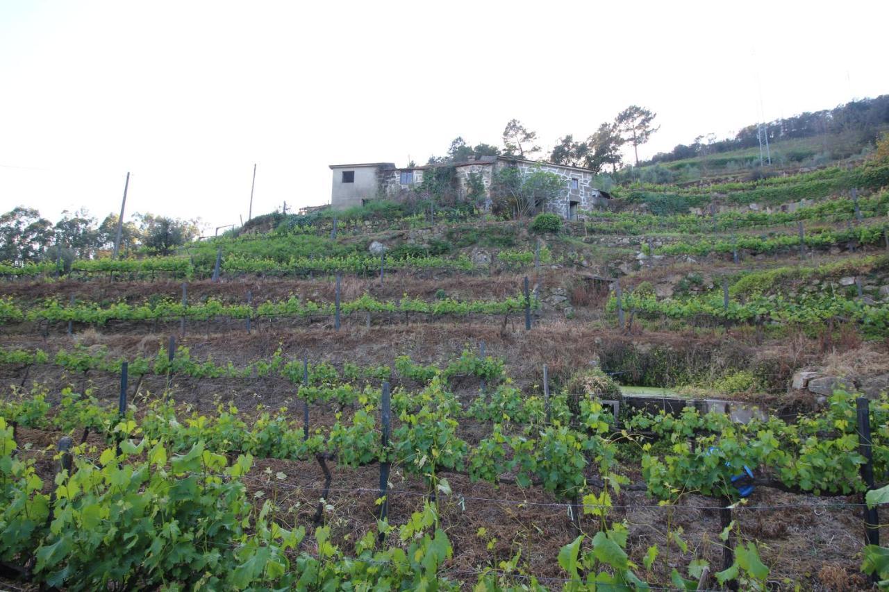 Casas Do Campo Da Moita Villa Baião Eksteriør billede
